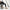 Birkenstock Boston