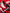 converse all star x comme des garçons play