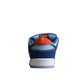 Nike Dunk Low  SB