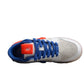 Nike Dunk Low  SB