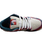 Nike Dunk Low  SB