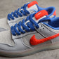 Nike Dunk Low  SB